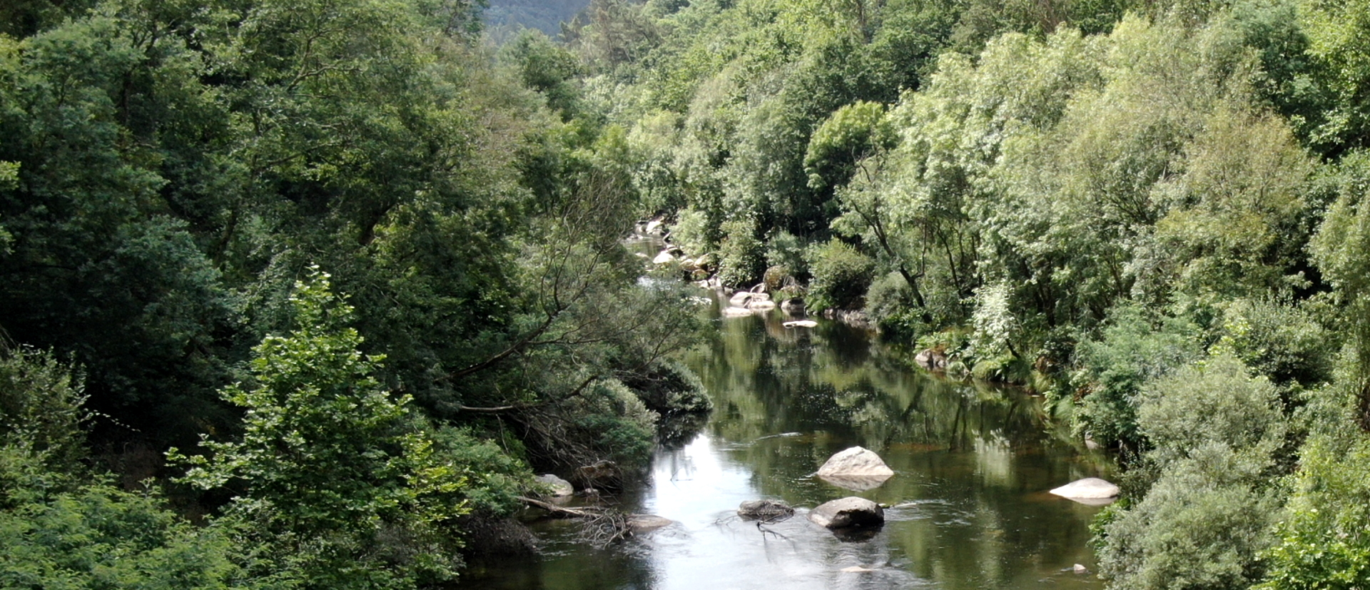 ETA de Castelo de Paiva