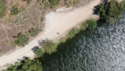 Maior resiliência com uma nova origem em Baião