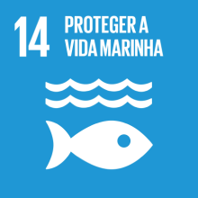 Conservar e usar de forma sustentável os oceanos, mares e os recursos marinhos para o desenvolvimento sustentável