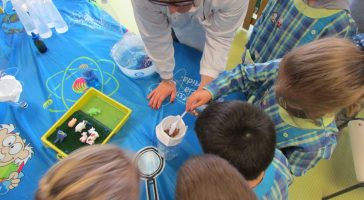 AdDP comemora Dia Mundial do Ambiente