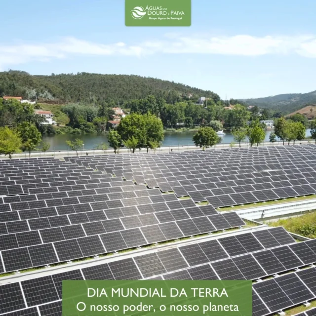 Hoje celebramos o Dia Mundial da Terra, sob o lema "O Nosso Poder, O Nosso Planeta", que nos desafia a acelerar a transição para as energias renováveis.

Na Águas do Douro e Paiva, respondemos com ações concretas: instalámos mais de 14.000 painéis solares para produzir energia limpa e reduzir a nossa pegada carbónica.

Porque proteger o planeta é uma responsabilidade de todos, usamos o nosso poder para garantir um futuro sustentável para o nosso planeta.

#DiaMundialDaTerra #EnergiaRenovavel