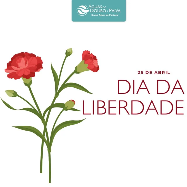 Hoje celebramos 51 anos de resistência, coragem e conquista — o dia em que a liberdade voltou a florescer em Portugal.

O acesso à água e ao saneamento, com qualidade e dignidade, é uma das grandes vitórias de Abril.
Um direito essencial que continua, todos os dias, a fazer a diferença na vida das pessoas.
#aguasdodouroepaiva #addp#agua #liberdade #25deabril #51anos